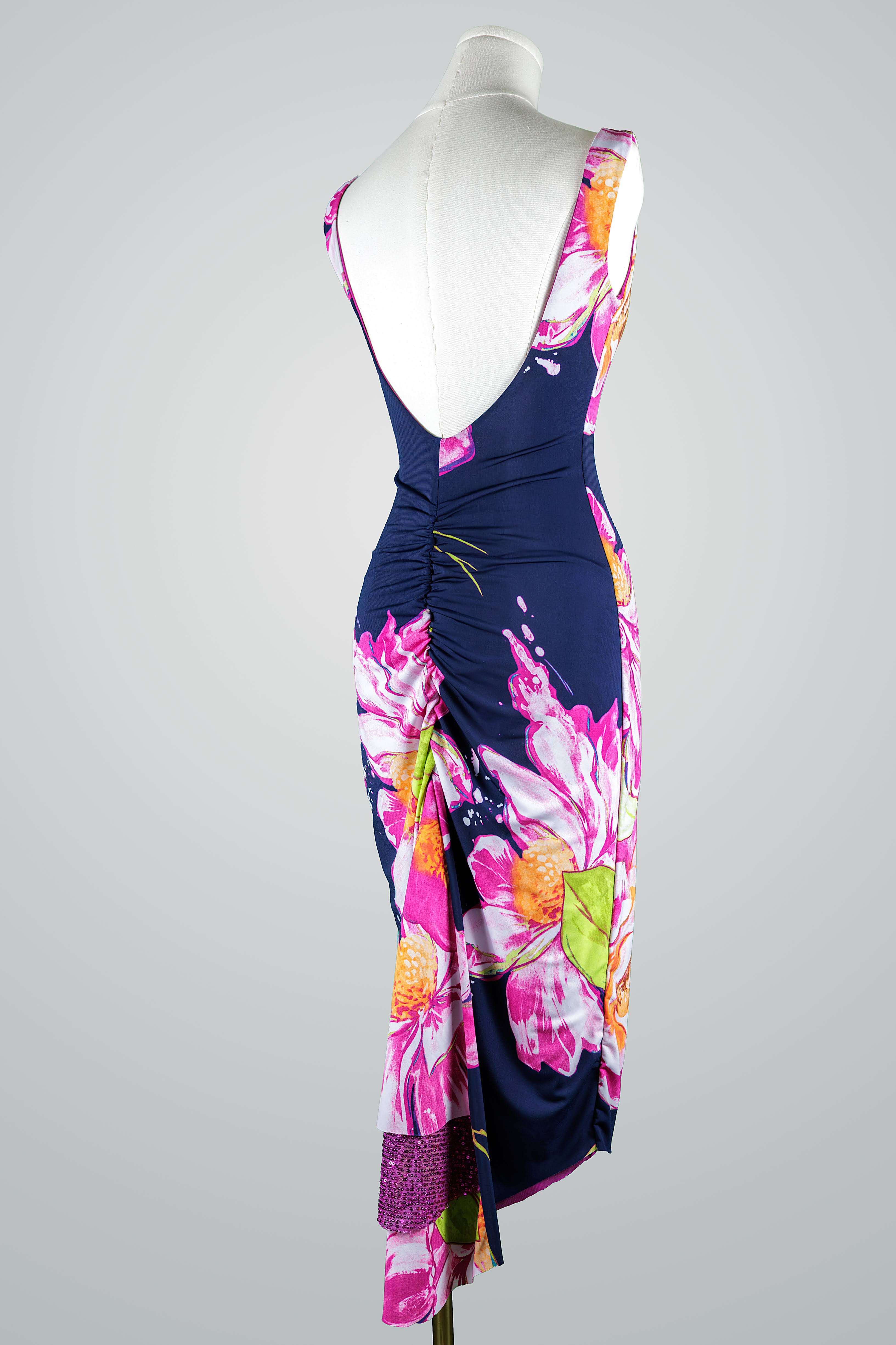 Floridita Panel Dress